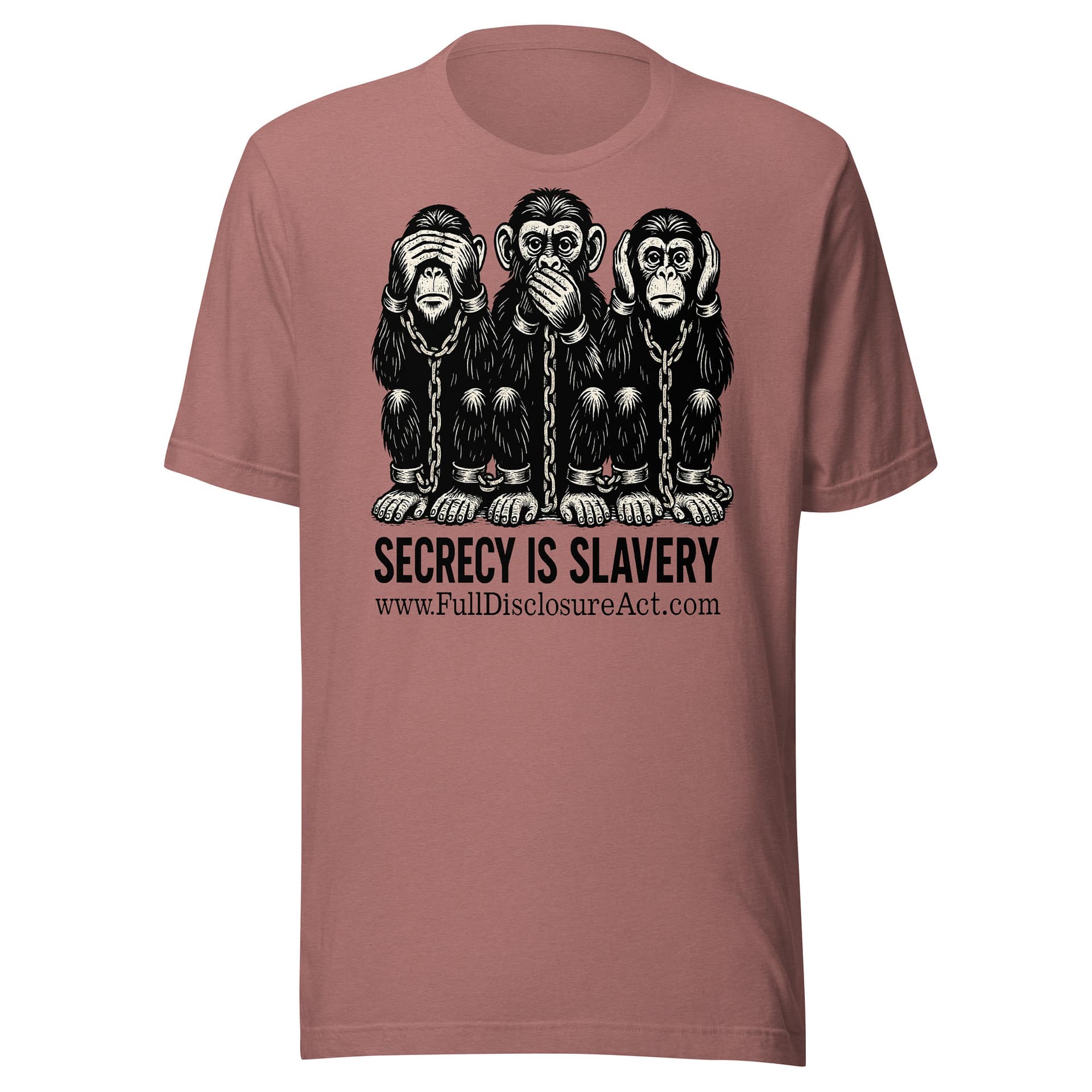 SECRECY IS SLAVERY - Image 5