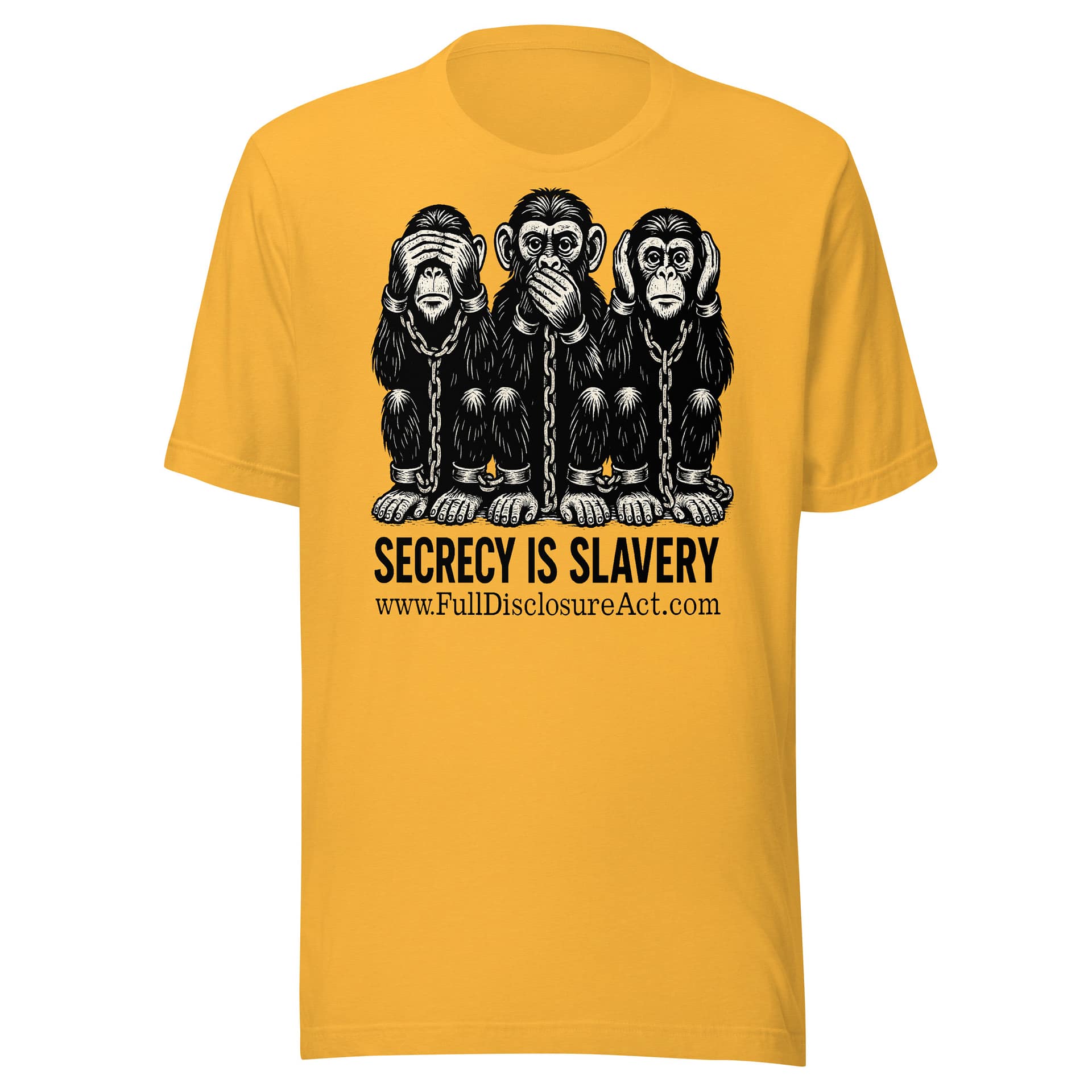 SECRECY IS SLAVERY - Image 9