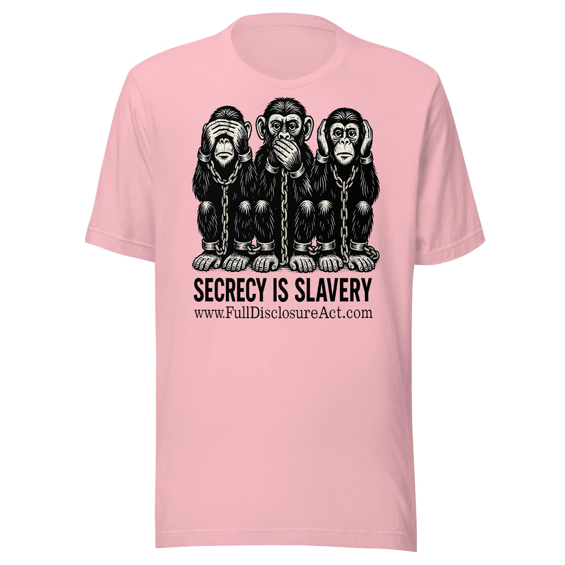 SECRECY IS SLAVERY - Image 10