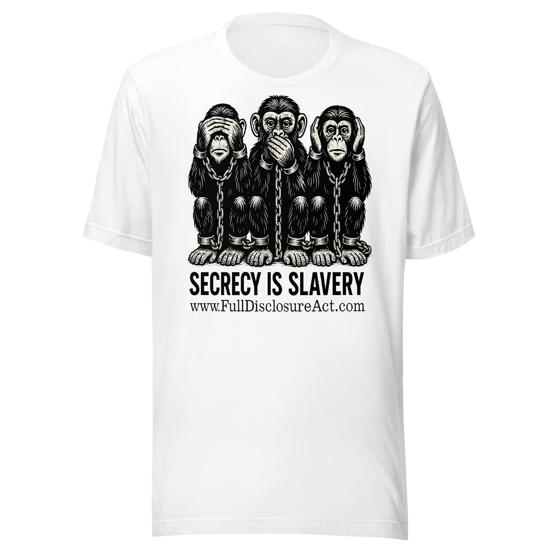 SECRECY IS SLAVERY - Image 11